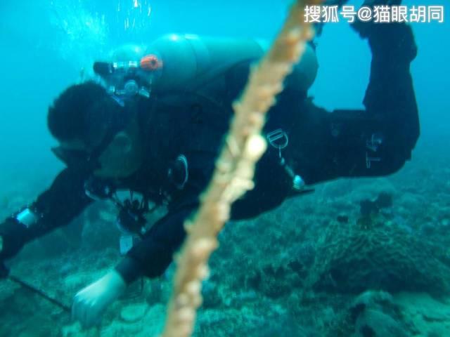 家里卫生间的厕所地漏漏水了,该怎么处理能够永除后患? - 精选问答社区